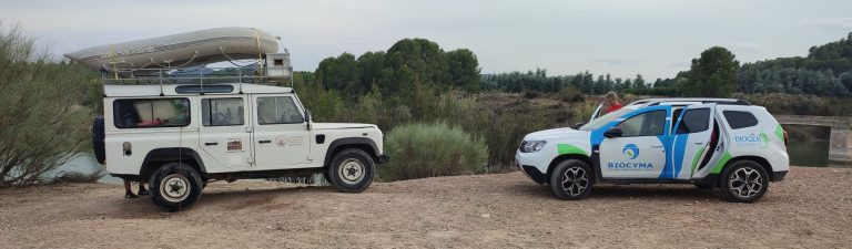 ARRANCA LA 3º CAMPAÑA DE SEGUIMIENTO PISCÍCOLA DE LA REGIÓN DE MURCIA