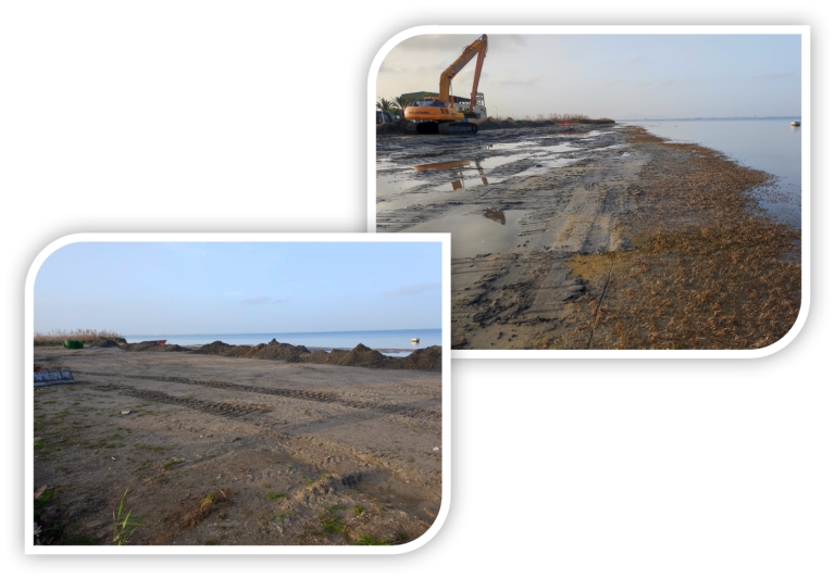 Nos encargan el seguimiento biológico de las labores de remangado de arena en las playas del Mar Menor en Cartagena, para la campaña 2023