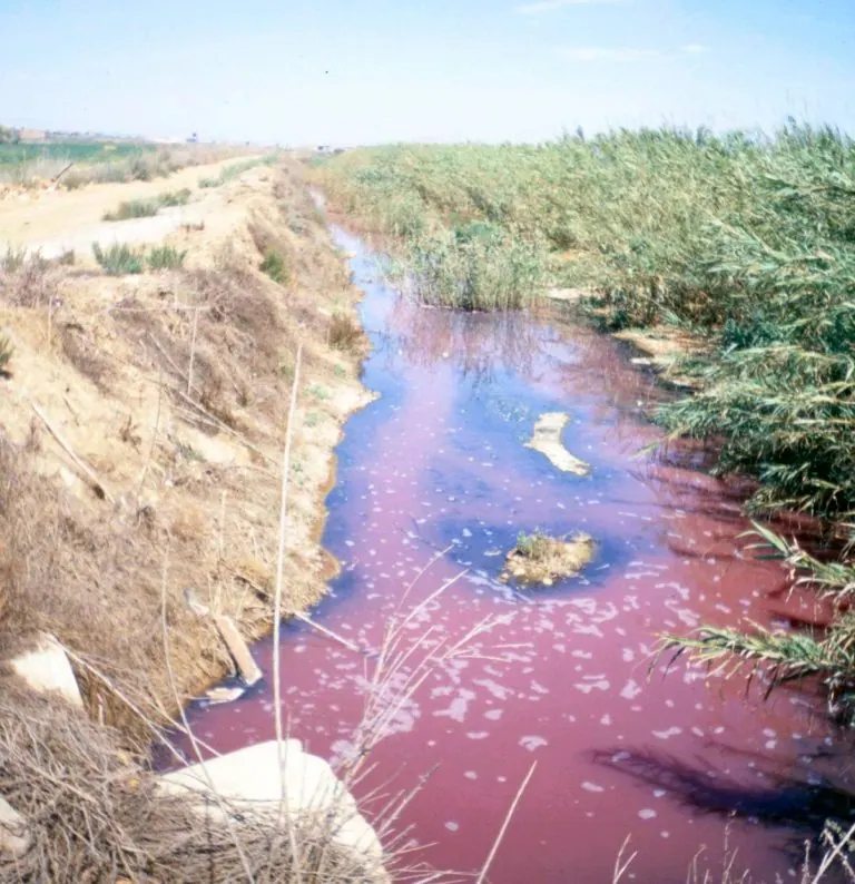 BIOCYMA continúa elaborando en 2019 múltiples análisis de riesgos medioambientales para industrias químicas de Murcia y provincias limítrofes.