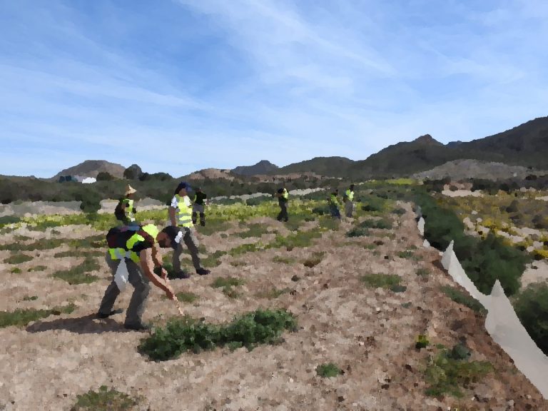 Seguimos trabajando
