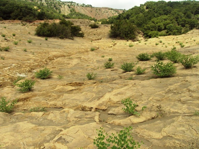 Seguimos colaborando con la UPCT en un proyecto sobre suelos contaminados por residuos mineros