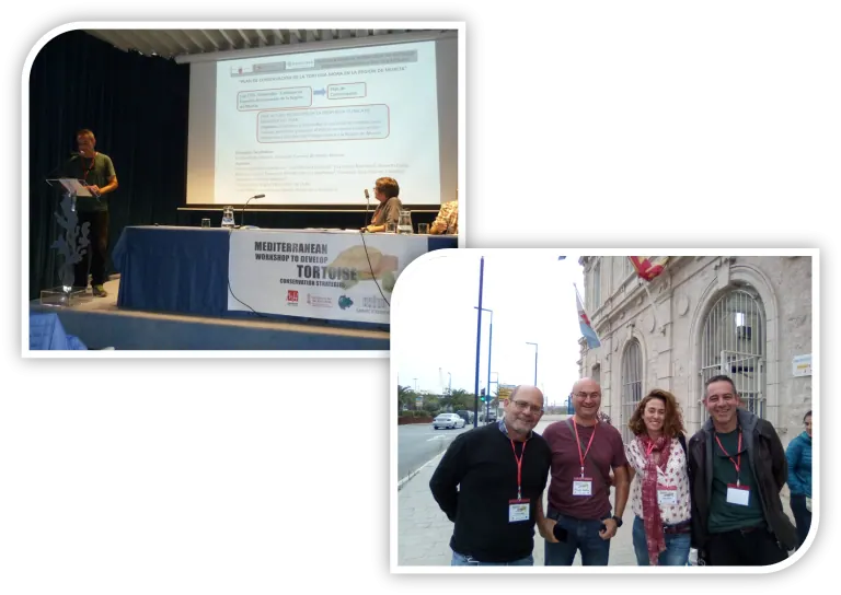 Participamos en la Reunión Mediterránea para el desarrollo de estrategias de conservación de tortugas