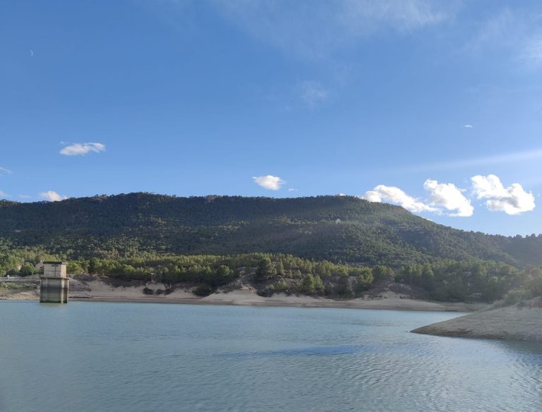 Ley de Restauración de la Naturaleza de la UE