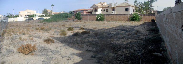 Estudios de flora silvestre protegida en parcelas situadas en suelo urbano consolidado