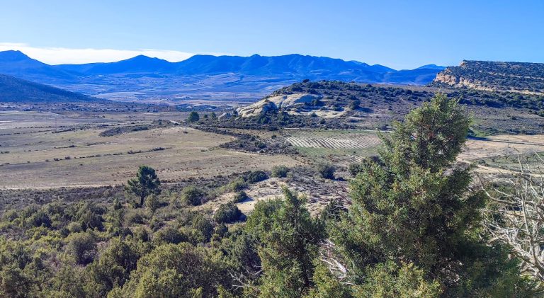 ESTUDIOS DE PAISAJE EN LA REGIÓN DE MURCIA