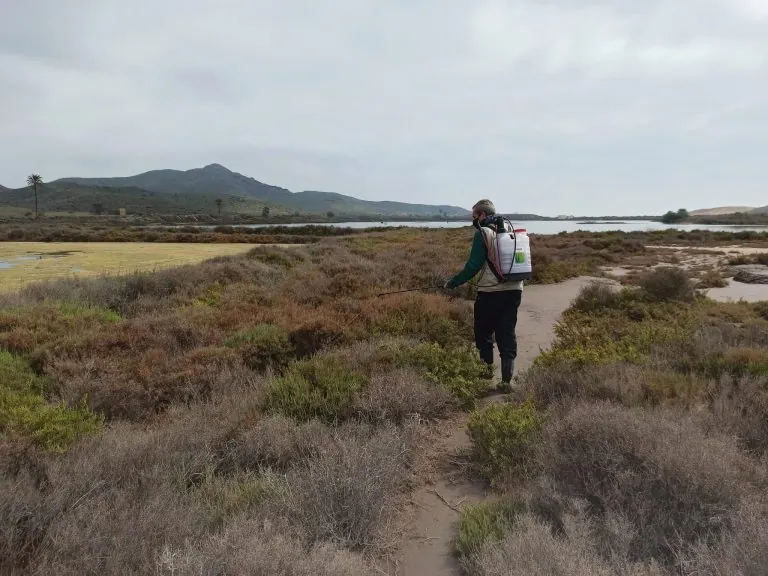 BIOCYMA lanza un nuevo servicio destinado al control de plagas y especies exóticas llamado BIOGEK