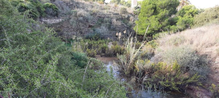 BIOCYMA realiza el inventario de fuentes y cuerpos de agua y propuestas de mejora y naturalización para la biodiversidad en el Parque Regional de Calblanque, Monte de las Cenizas y Peña del Águila.