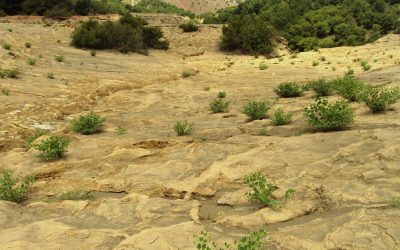 Seguimos colaborando con la UPCT en un proyecto sobre suelos contaminados por residuos mineros