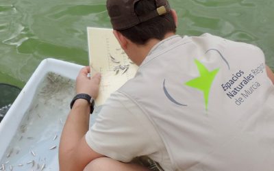 Publicado en EUROPARC el Seguimiento de las Salinas Litorales que desarrolla BIOCYMA para la OISMA