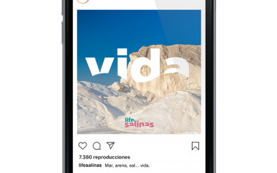 Gestionamos la web y las redes sociales para el proyecto LIFE-Salinas.
