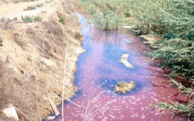 BIOCYMA continúa elaborando en 2019 múltiples análisis de riesgos medioambientales para industrias químicas de Murcia y provincias limítrofes.