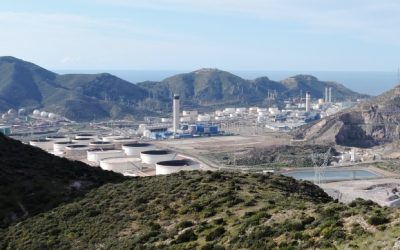 Análisis de riesgos medioambientales de operadores sometidos a Autorización Ambiental Integrada conforme a la Ley 26/2007, de 23 de octubre, de Responsabilidad Medioambiental.