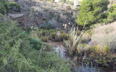 BIOCYMA realiza el inventario de fuentes y cuerpos de agua y propuestas de mejora y naturalización para la biodiversidad en el Parque Regional de Calblanque, Monte de las Cenizas y Peña del Águila.