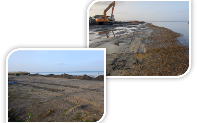 Nos encargan el seguimiento biológico de las labores de remangado de arena en las playas del Mar Menor en Cartagena, para la campaña 2023