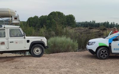 ARRANCA LA 3º CAMPAÑA DE SEGUIMIENTO PISCÍCOLA DE LA REGIÓN DE MURCIA